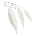 A watercolor painting of a lily of the valley branch with leaves and flowers.