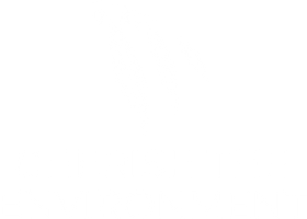 A white background with a few lines on it