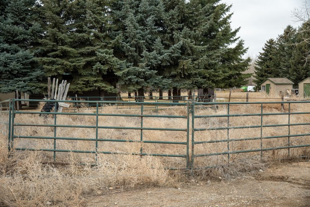 Large sand riding arena for boarder use in Farmington, NM