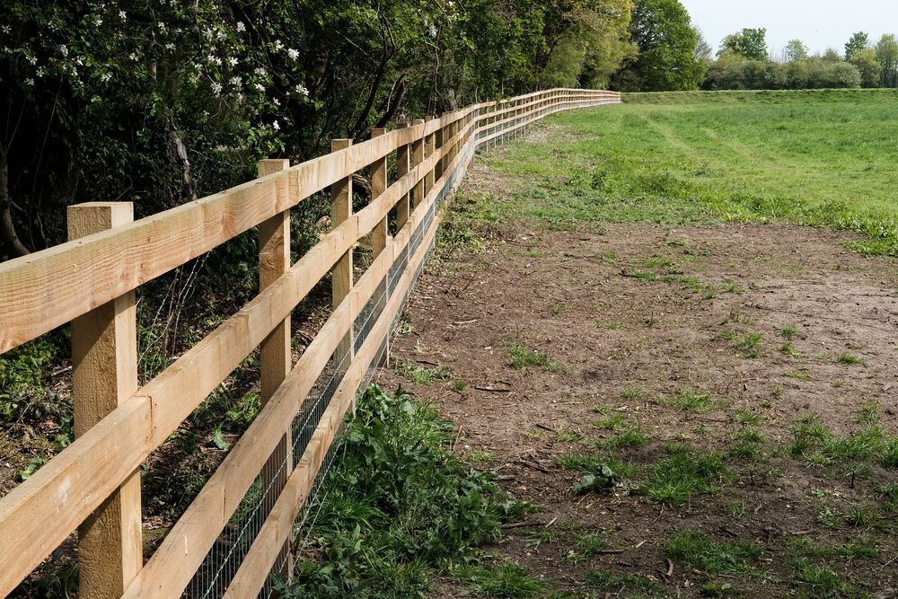 Shaded pasture with secure fencing for long-term horse boarding
