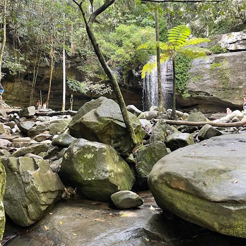 Buderim Forest Park