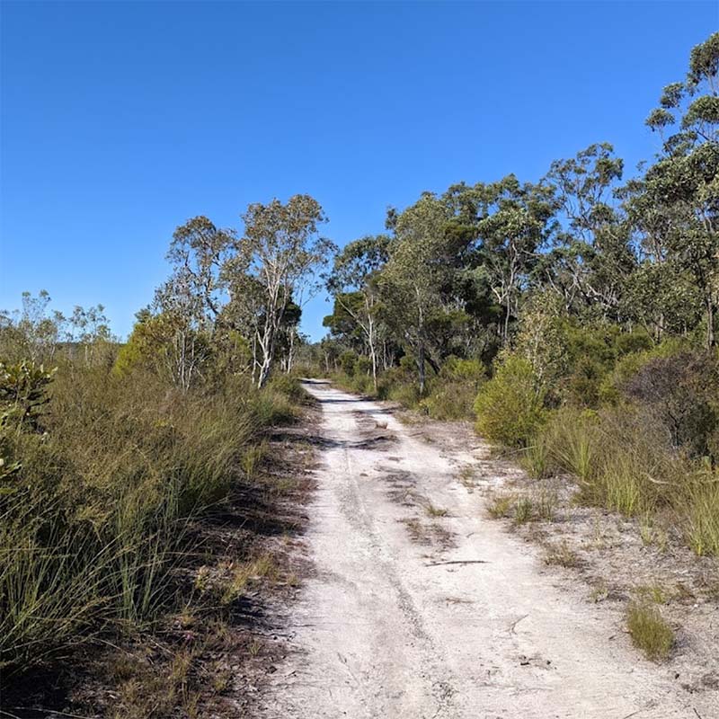 Mooloolah River National Park