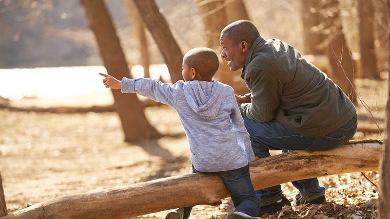 father and son in the woods
