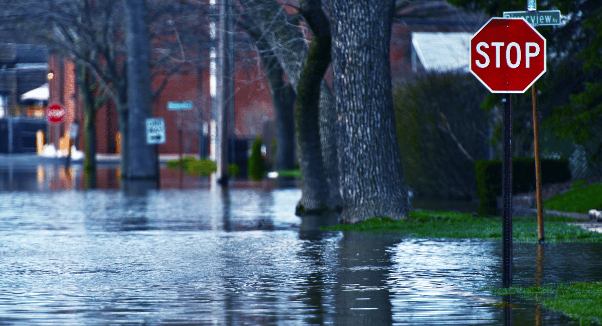 Managing risk: Protecting your business against emergency weather conditions