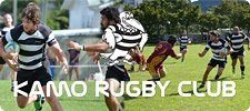 Rugby players in black and white striped jerseys, running on a green field. 