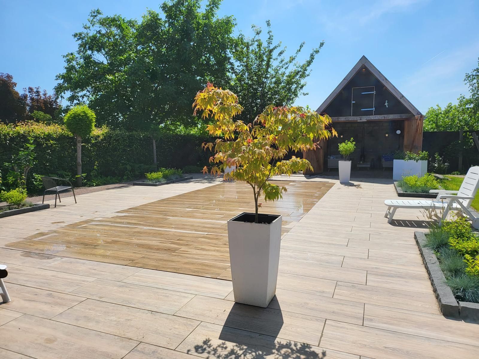 Achtertuin met terras, een klein boompje in een witte pot en een houten schuurtje op een zonnige dag. MagicPool