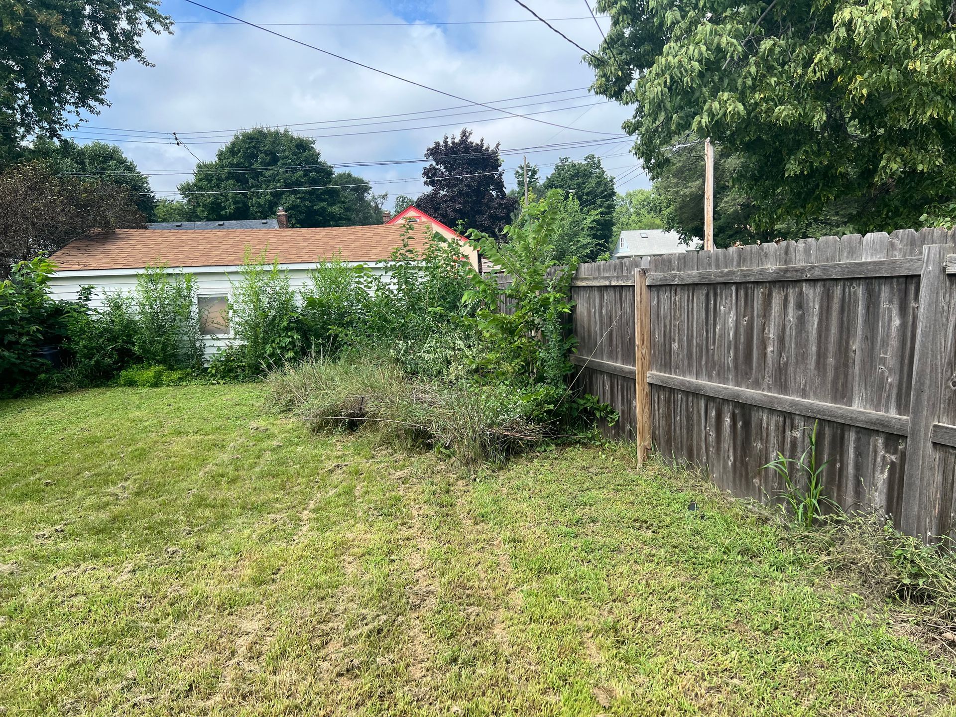 Backyard with grass, overgrown plants, wooden fence, and a small house in the background