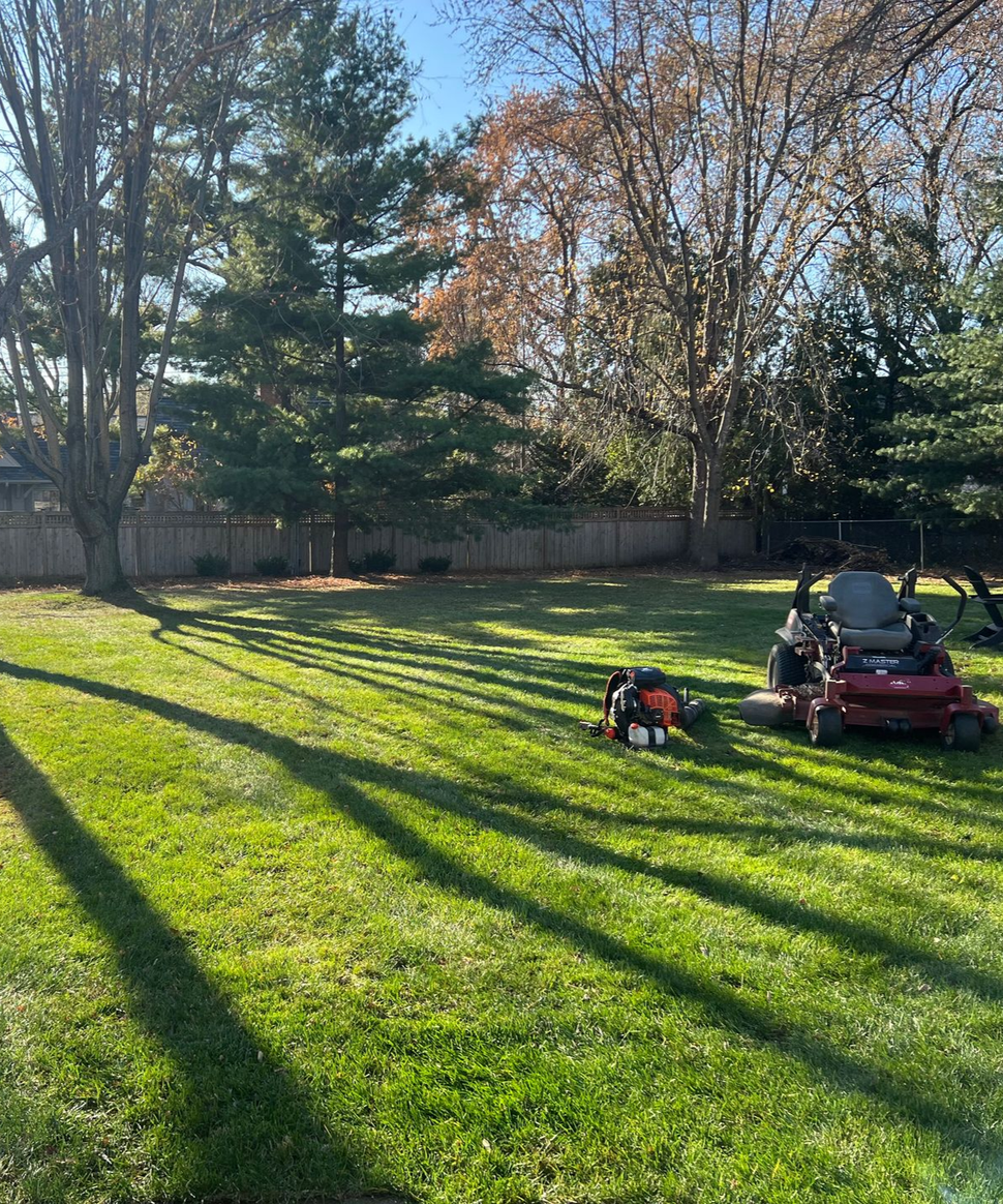 Sunlit backyard with long tree shadows, a lawn mower, and a person on a red riding mower near the fence.