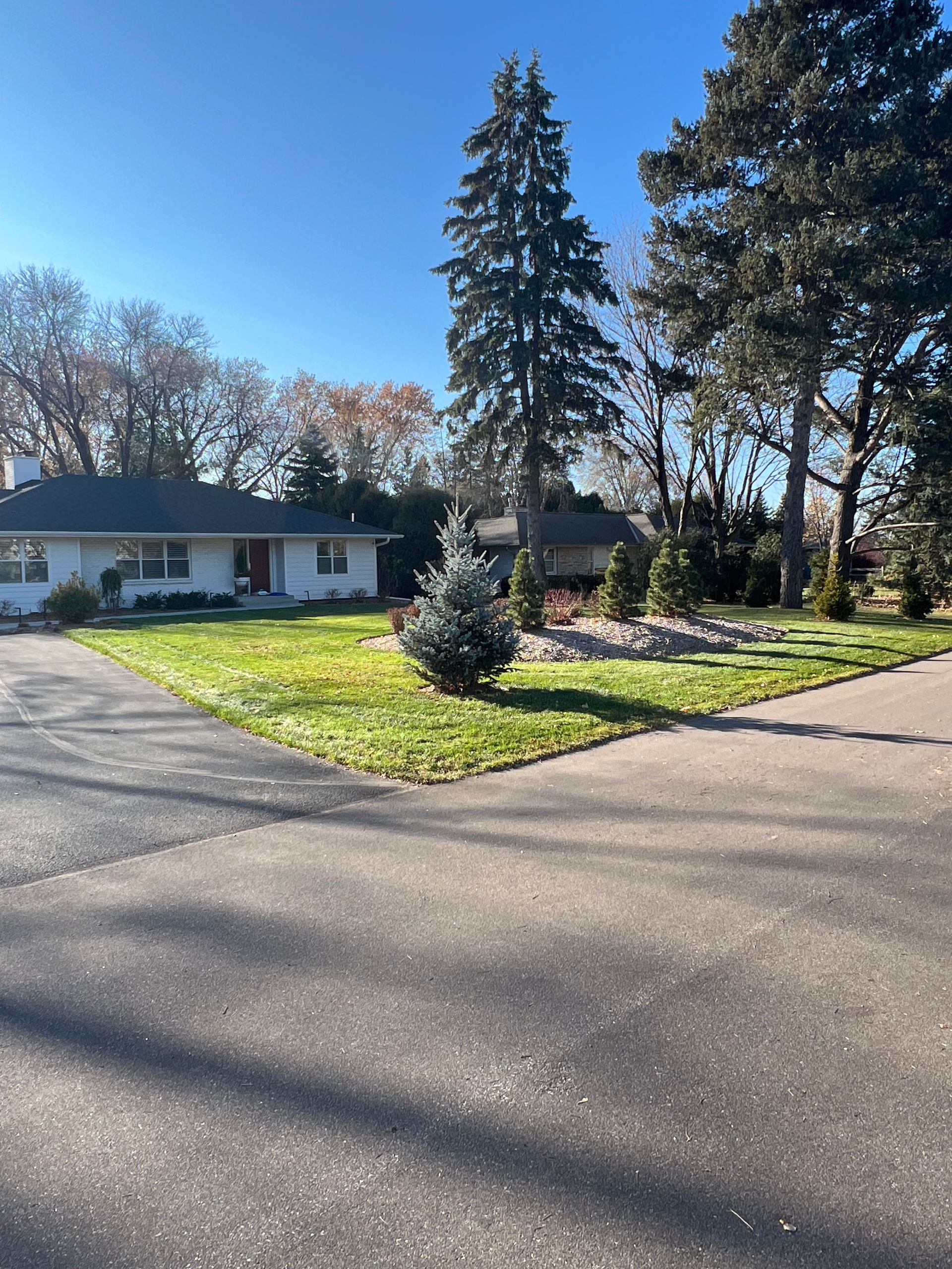 Suburban house with a landscaped front yard, tall trees, and sunlit driveway at the street corner