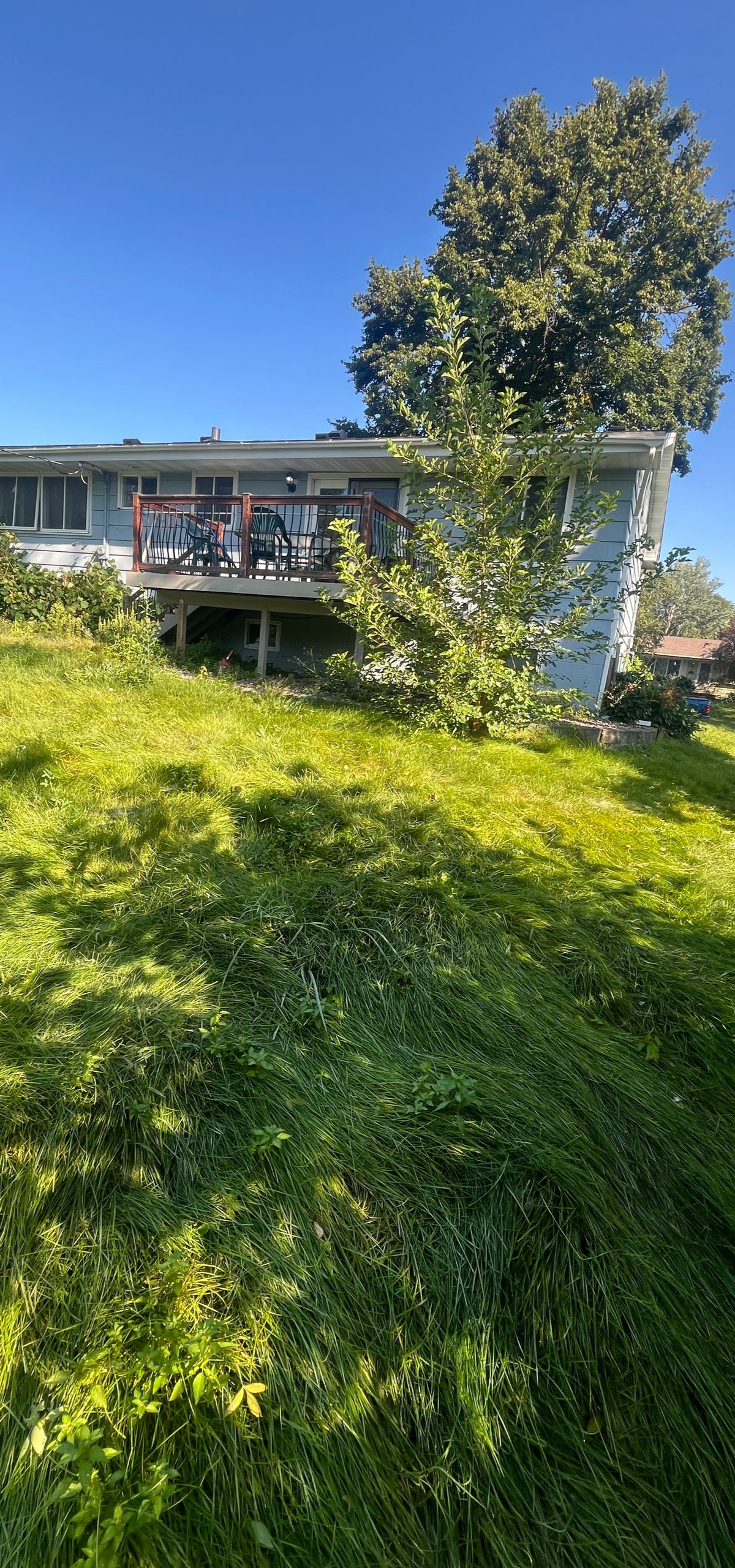 House with a deck overlooking a lush green yard and a large tree in bright sunlight