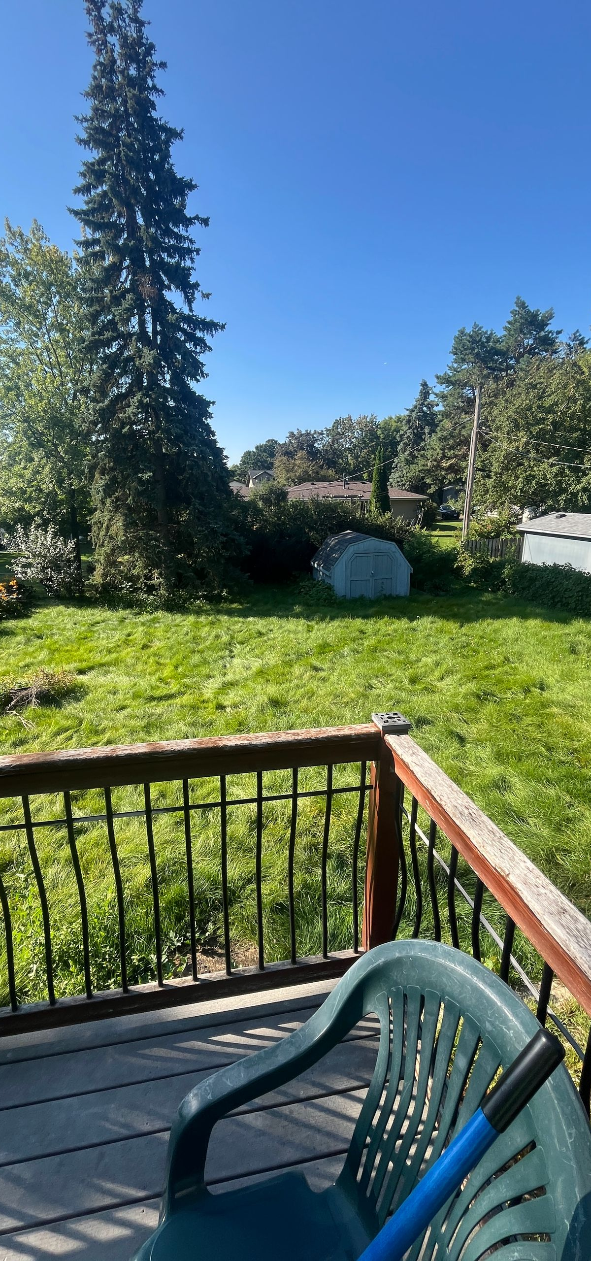 Sunny backyard view from a deck with a chair, green lawn, tall evergreen tree, and blue sky.
