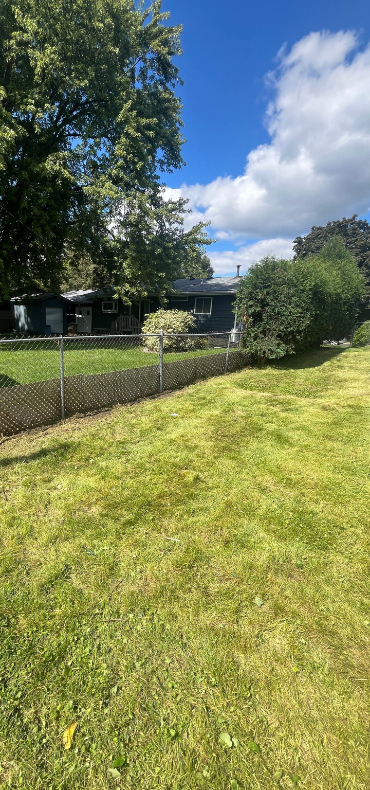 Sunlit grassy yard with a fence, trees, and a house under a blue sky with clouds