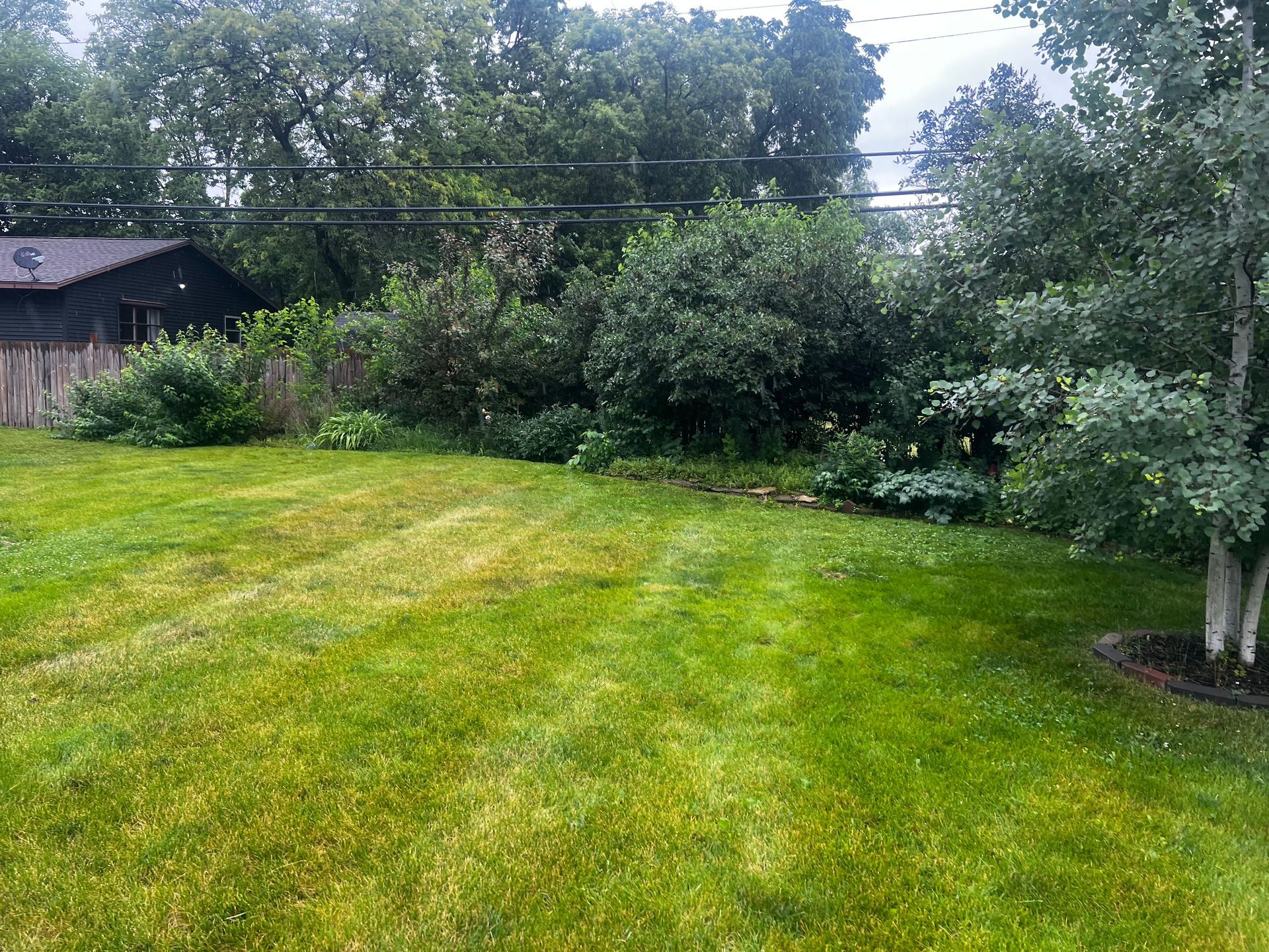 Green backyard lawn with trees and shrubs, a wooden shed at left, and a house partly visible in the background
