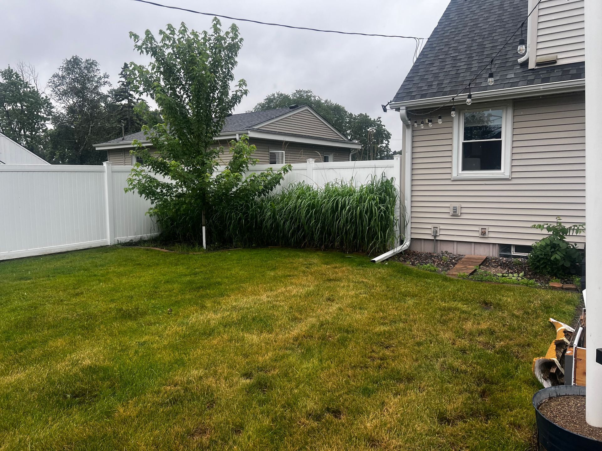 Backyard with green lawn, white fence, small tree, shrubs, and side of a beige house