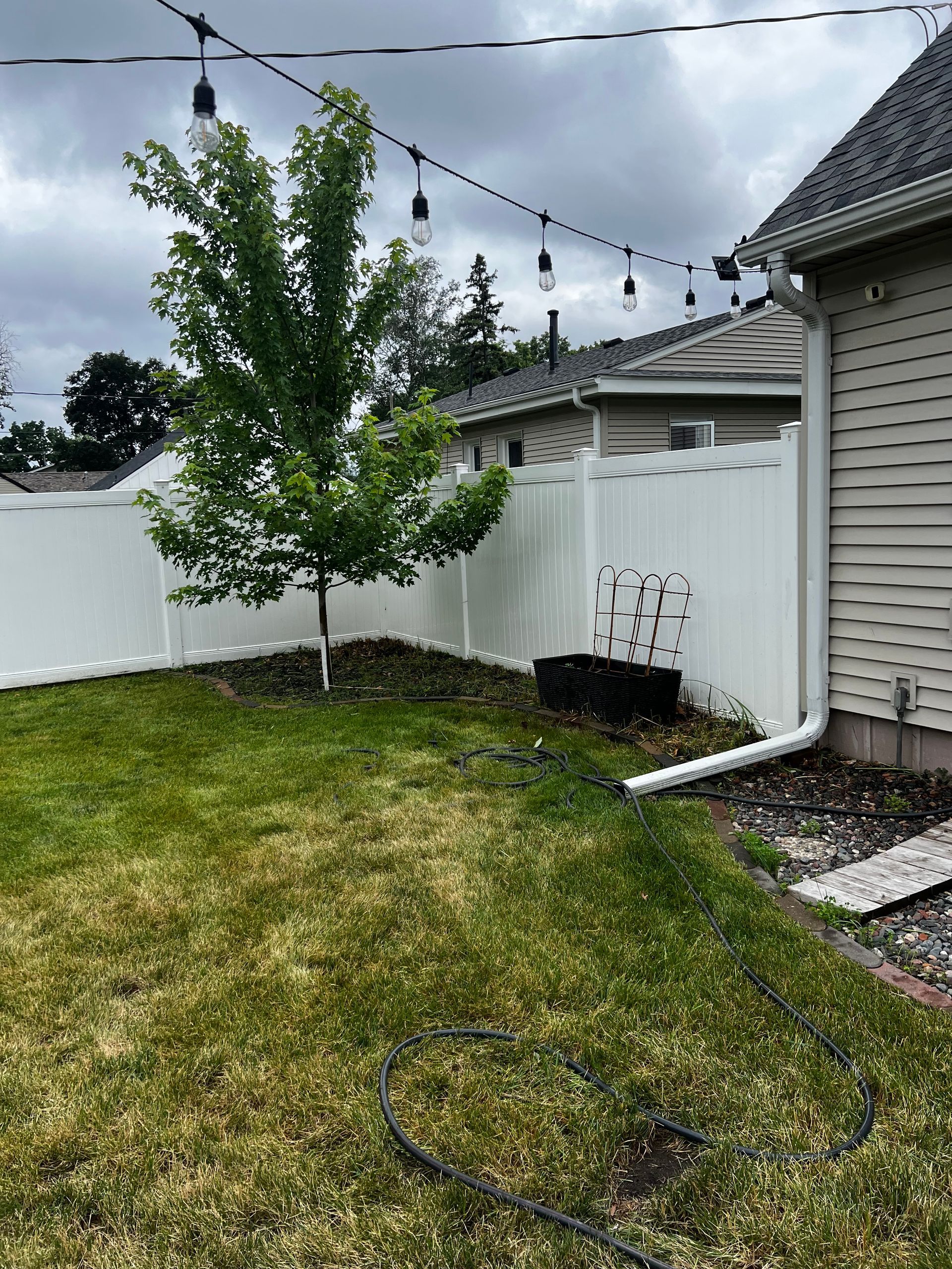 Backyard with white fence, young tree, grass, string lights, and side of a house after rain.