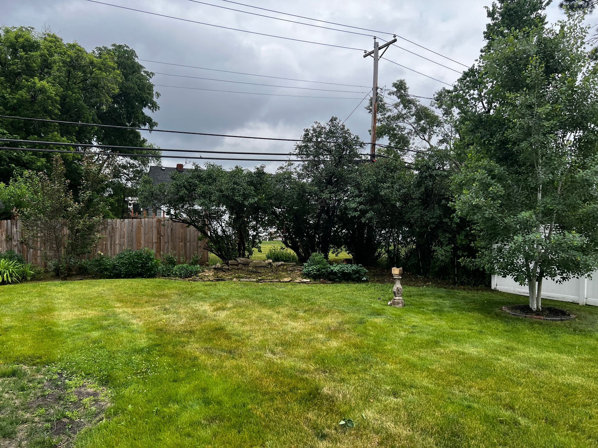 Grassy backyard with trees, cloudy sky, power lines, and a small child standing near the center-right