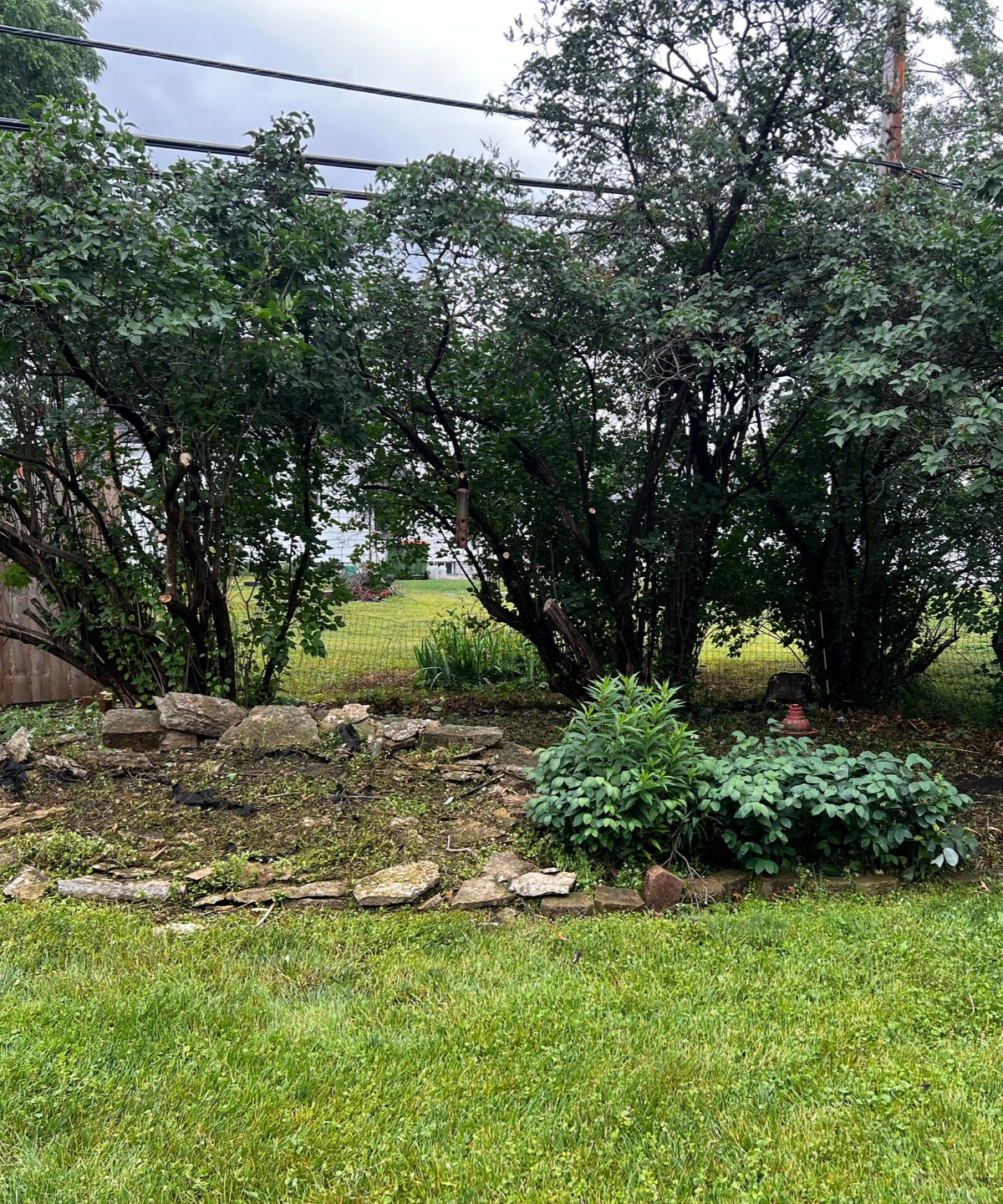 Backyard with green lawn, stone border, shrubs, and tall trees under overcast sky