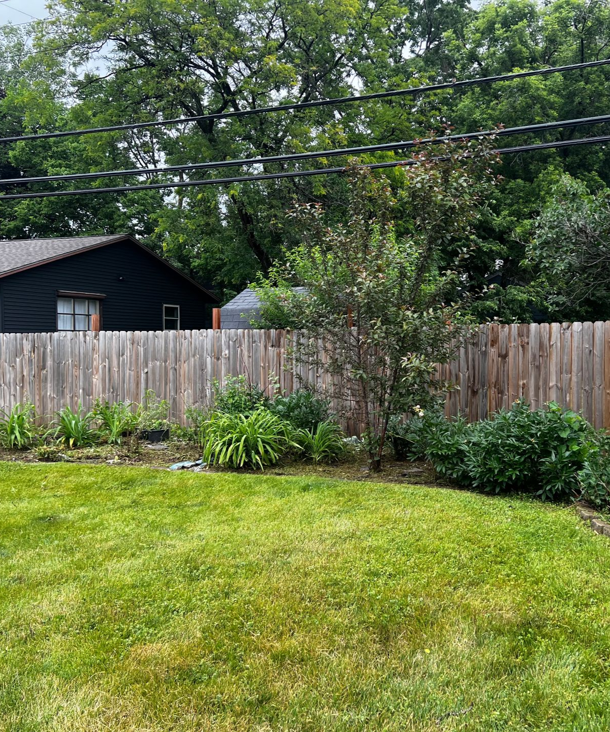 Backyard with green lawn, wooden fence, leafy trees, and a dark shed under power lines.