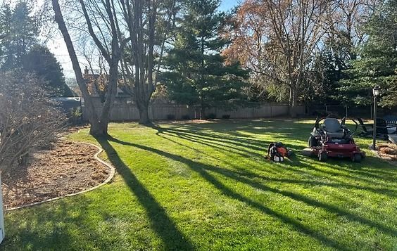 Sunlit backyard lawn with long tree shadows and a person mowing grass on a riding mower