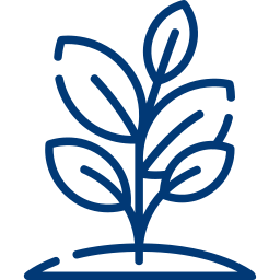 Vegetation management