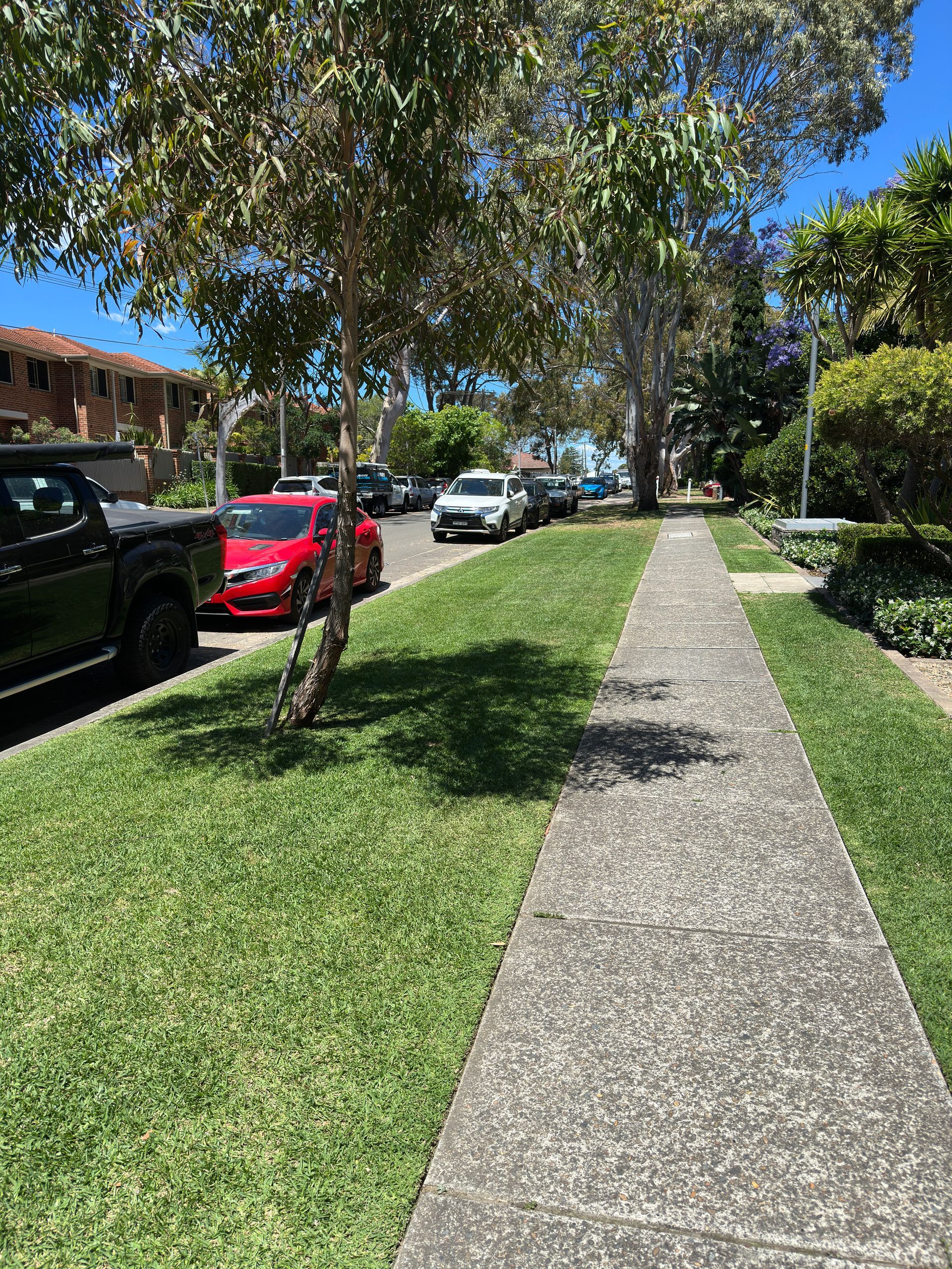 Sunny sidewalk beside parked cars and trees in a residential neighborhood.