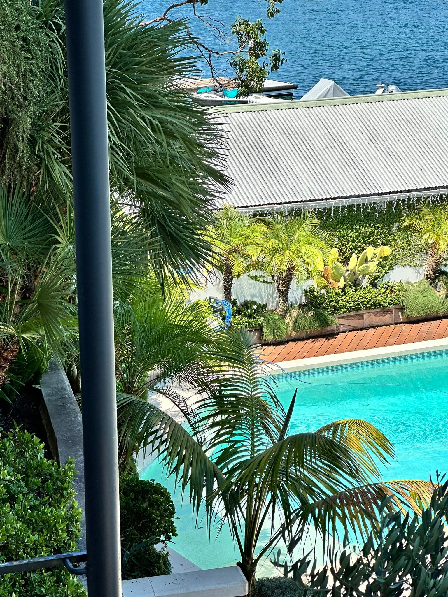 Tropical pool view with turquoise water, palm trees, and a white-roofed building in the background