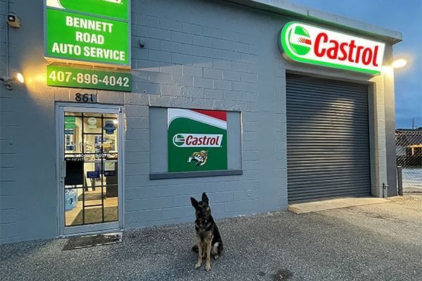 A German Shepherd sits in front of Bennett Road Auto Service with a Castrol sign.