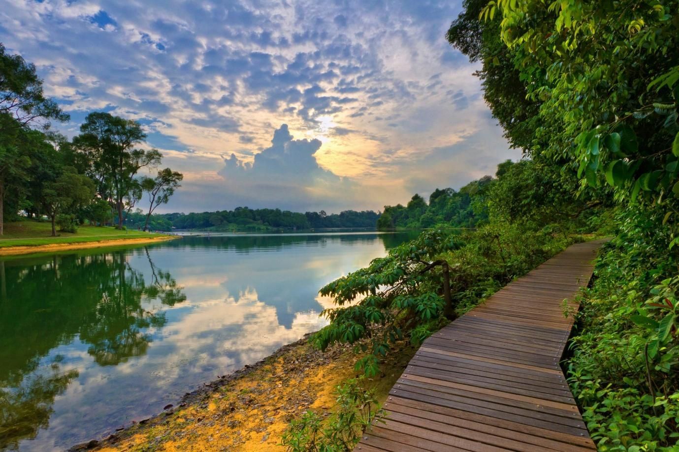 MacRitchie Reservoir Park