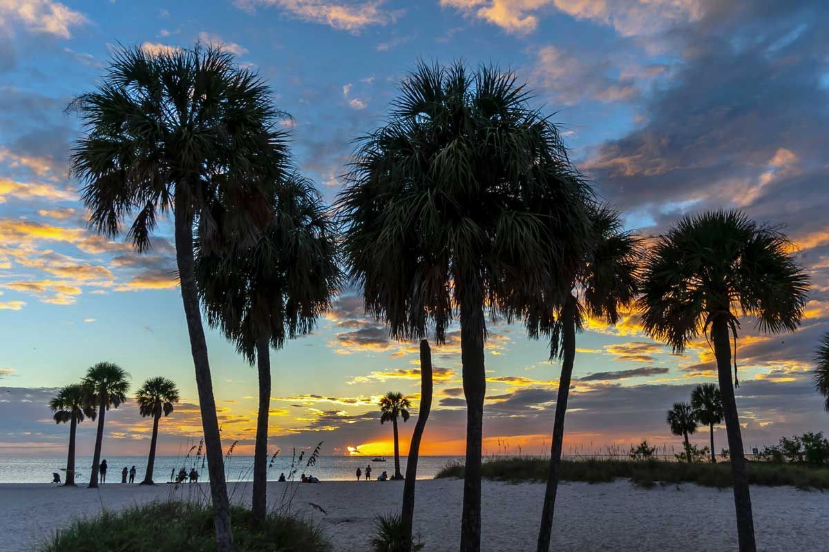 Palm trees silhouetted against a colorful sunset on a beach. People are visible in the background.