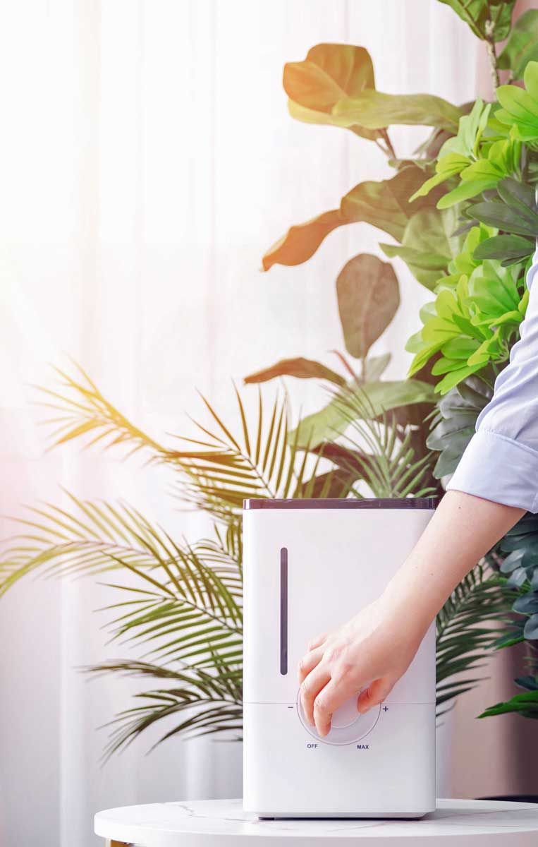 A person adjusting the control dial on a white humidifier, surrounded by lush green plants in a bright room.