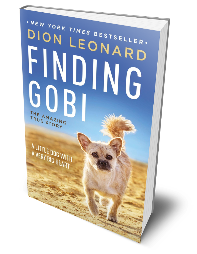 Dion Leonard, Finding Gobi, Gobi the Dog, New York Times Bestseller, Author, Speaking Event
