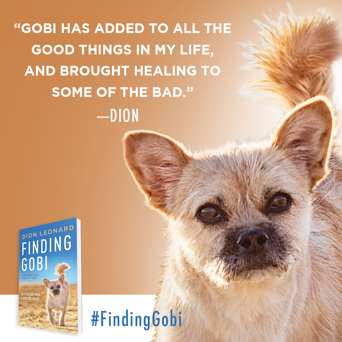 Dion Leonard, Finding Gobi, Gobi the Dog, New York Times Bestseller, Author, Speaking Event Dion Leonard, Finding Gobi, Gobi the Dog, New York Times Bestseller, Author, Speaking Event