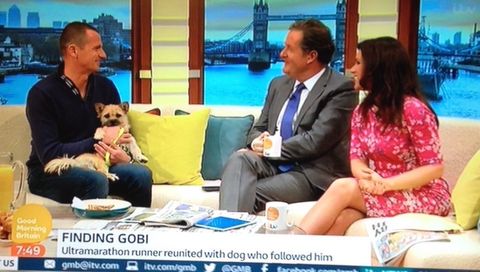Dion Leonard, Media, Finding Gobi, Gobi the Dog, New York Times Bestseller