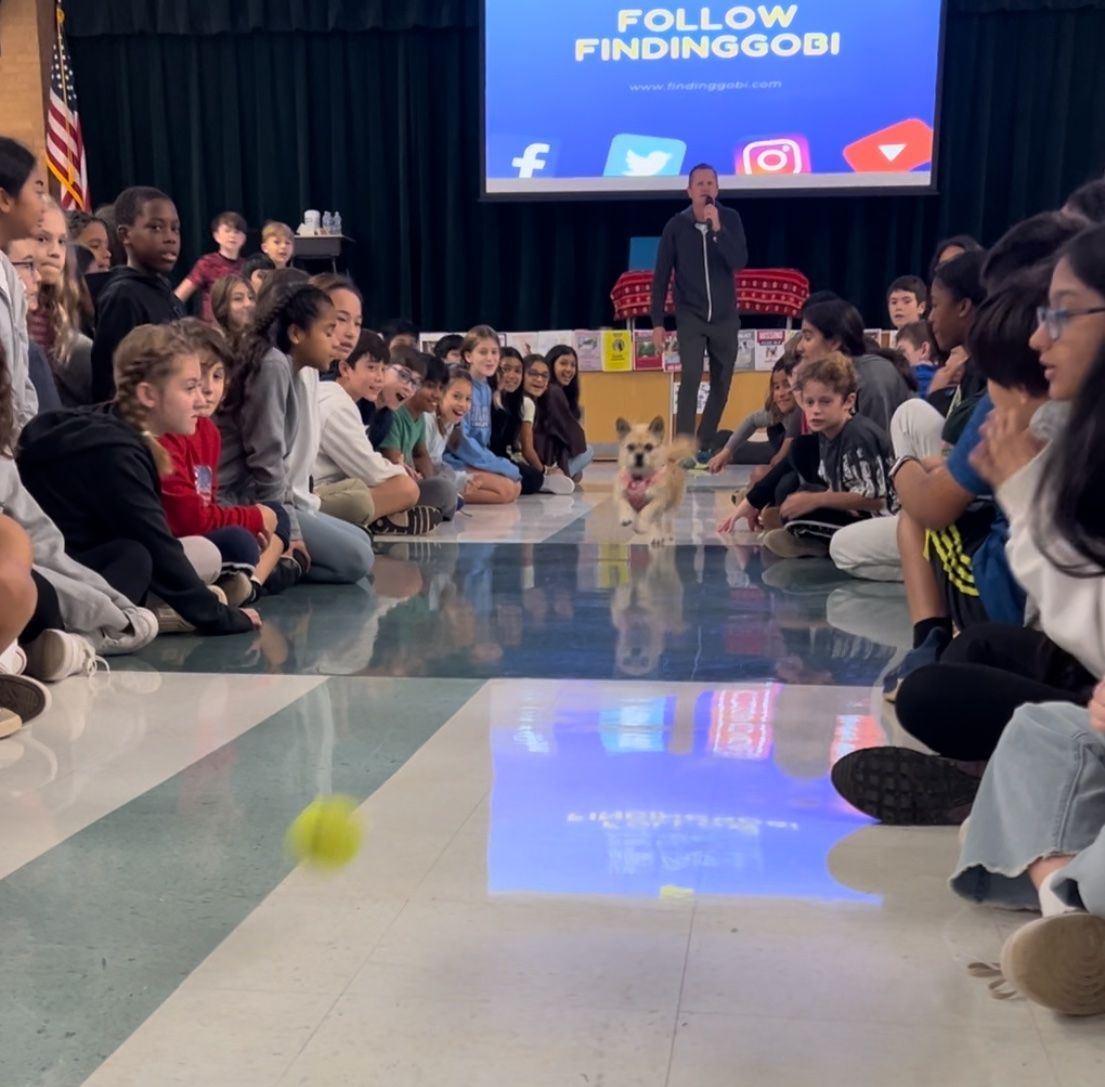Dion Leonard, School Author Visit, Finding Gobi, Gobi the Dog