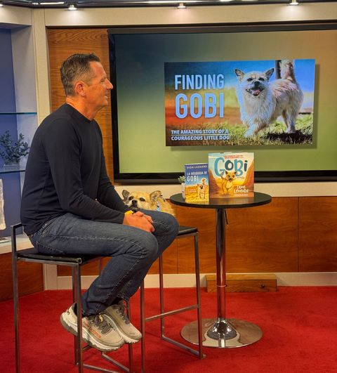 Dion Leonard, Media, Finding Gobi, Gobi the Dog, New York Times Bestseller