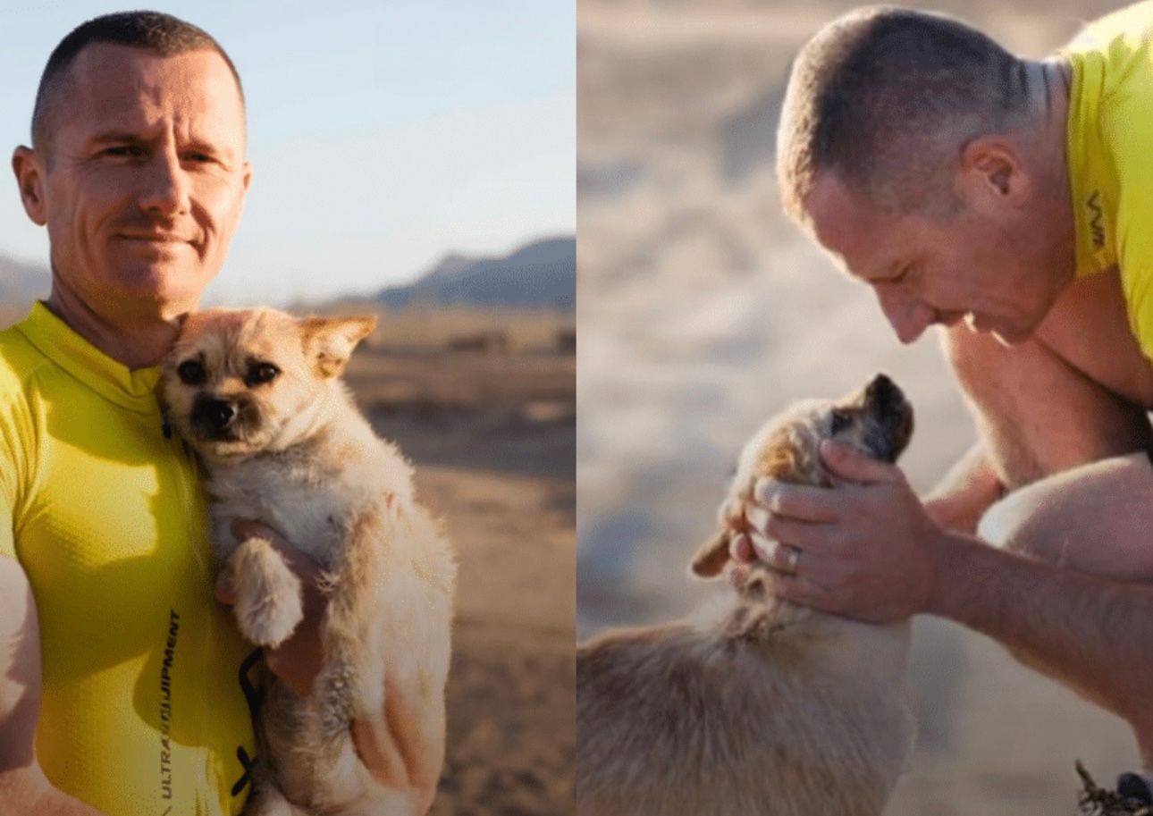Dion Leonard, Ultra Runner, Stray Dog, gobi Dog, China Desert, Ultra Marathon Runner, Finding Gobi