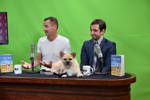 Dion Leonard, Media, Finding Gobi, Gobi the Dog, New York Times Bestseller
