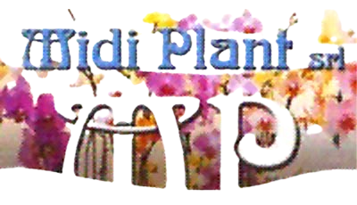 MIDI PLANT - LOGO