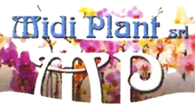 MIDI PLANT - LOGO