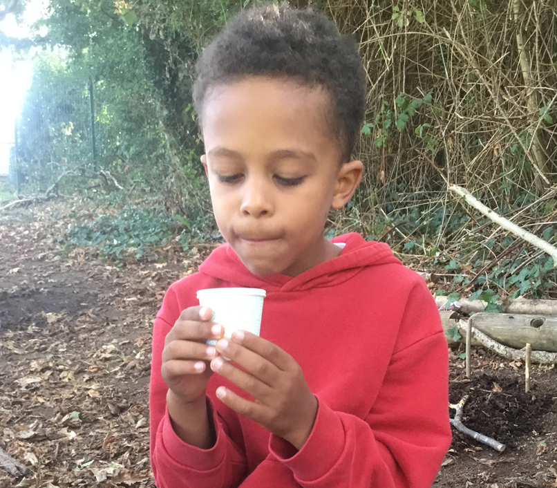 Child in a red hoodie examining a small white cup outdoors near bushes and a cart