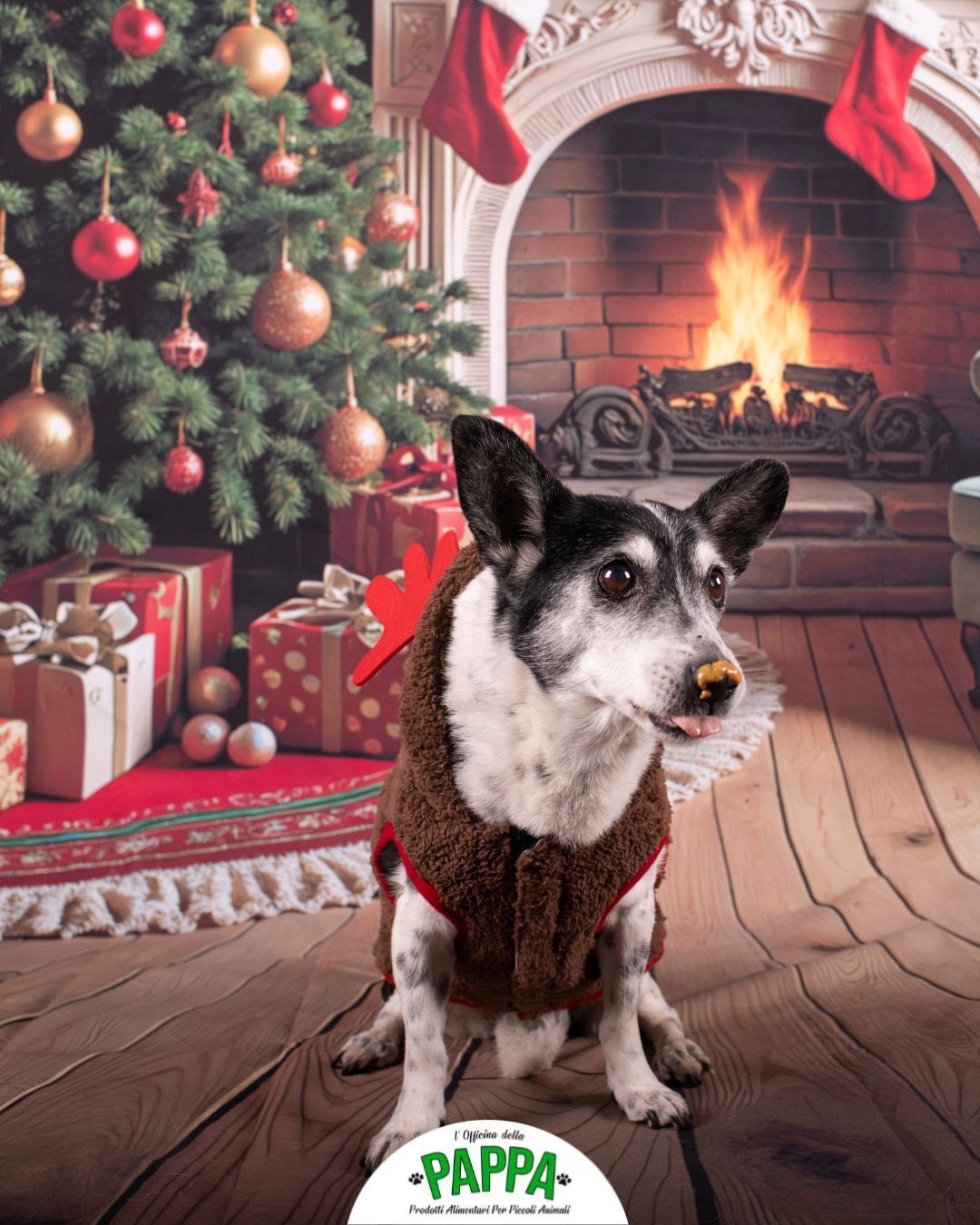 Cane che indossa un maglione con albero di Natale e camino sullo sfondo.