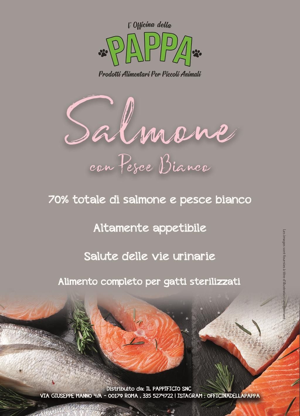 Pubblicità di cibo per gatti, con salmone e pesce bianco, con testo e foto del cibo.