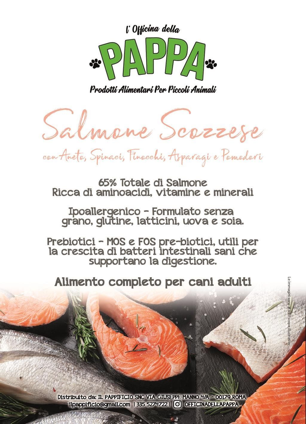 Pubblicità di cibo per cani con salmone scozzese. Testo e fette di salmone. Logo e testo verdi.