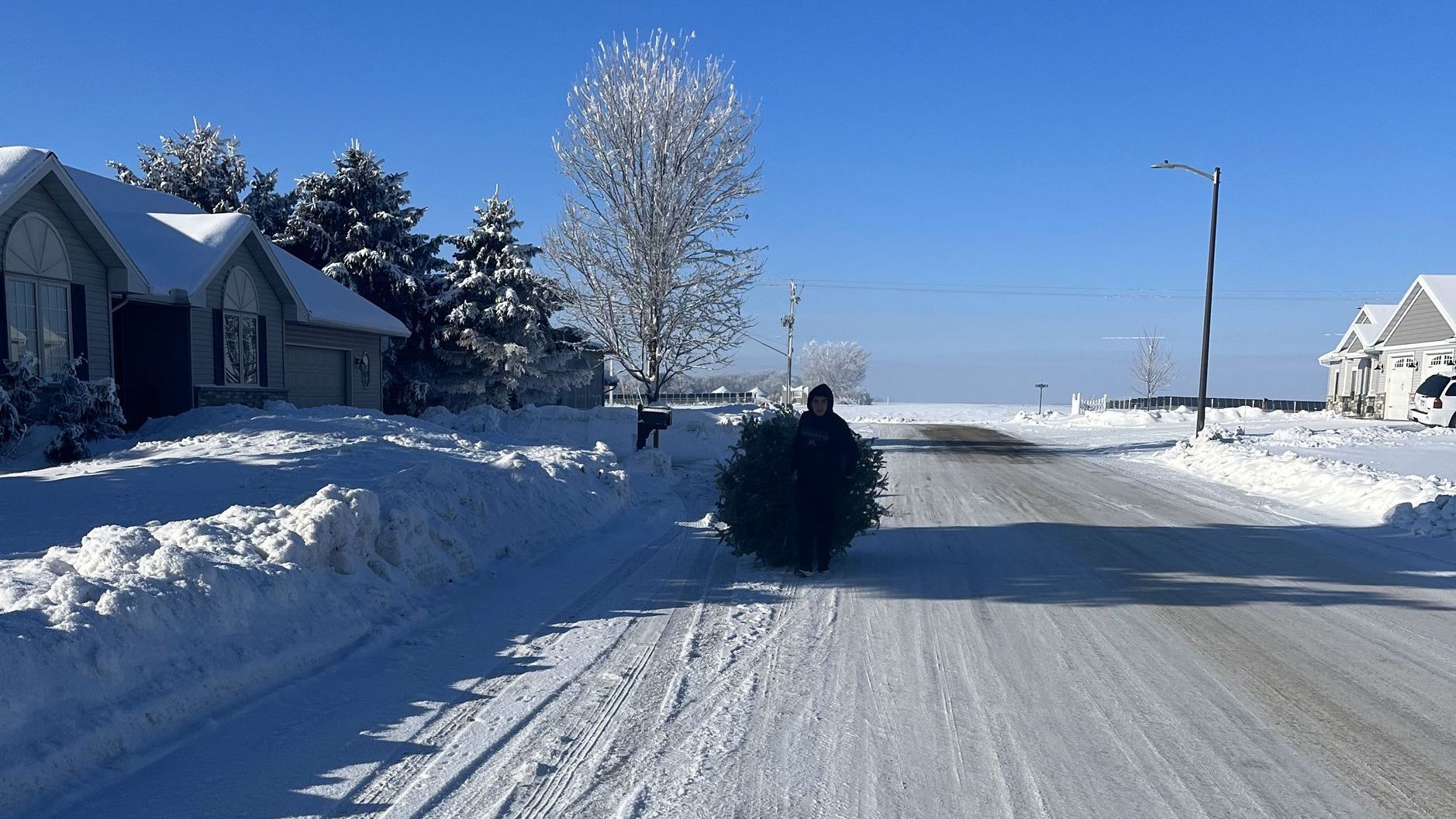 A person is carrying a christmas tree down a snowy street