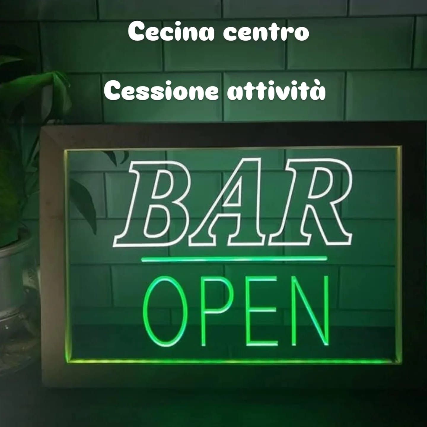 Bar centro Cecina