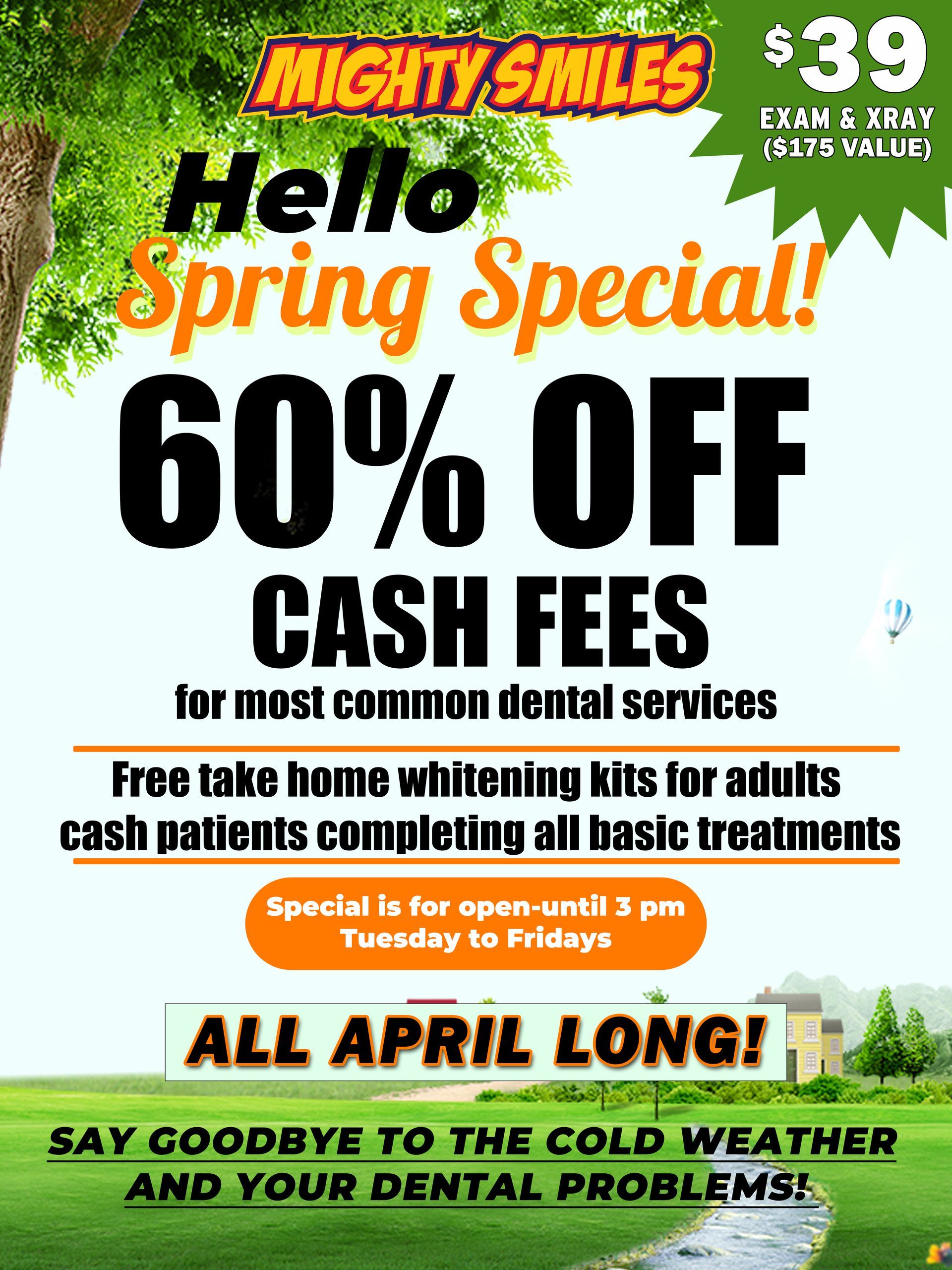 Mighty Smiles Spring Promotion