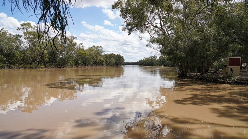 A Large Body of Water Surrounded by Trees on a Sunny Day — Parkes Machinery Services PTY LTD in Nyngan, NSW