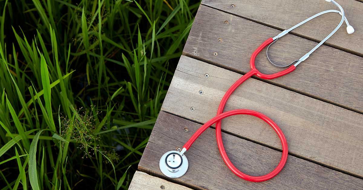 Fact or Fiction? 4 Assumptions About Rural Physician Jobs