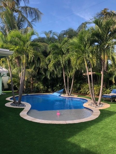 A large swimming pool surrounded by palm trees in a backyard.
