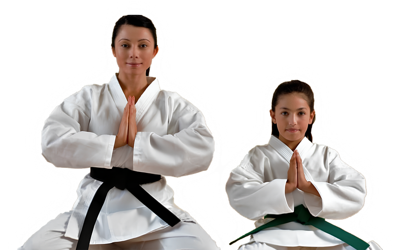 a woman with a black belt and a girl with a green belt are practicing karate
